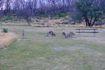<div style='float: right;'>[2020:12:27 20:21:09] [DSCF4196.JPG]</div>