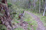 <div style='float: right;'>[2020:12:28 16:06:39] [DSCF4231.JPG]</div>