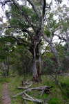 <div style='float: right;'>[2020:12:28 16:10:25] [DSCF4233.JPG]</div>