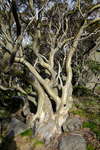 <div style='float: right;'>[2020:12:28 18:43:46] [DSCF4244.JPG]</div>