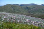 <div style='float: right;'>[2020:12:29 09:41:53] [DSCF4328.JPG]</div>