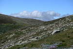 <div style='float: right;'>[2020:12:29 10:58:44] [DSCF4356.JPG]</div>