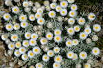 <div style='float: right;'>[2020:12:29 12:43:57] [DSCF4393.JPG]</div>