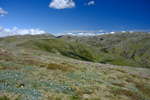 <div style='float: right;'>[2020:12:29 12:54:02] [DSCF4403.JPG]</div>