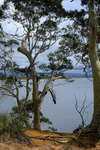 <div style='float: right;'>[2021:01:01 10:44:52] [DSCF4562.JPG]</div>